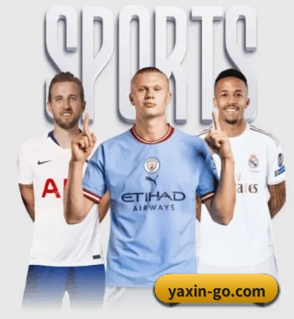 走进亚新体育，发现更多生活灵感 - yaxin