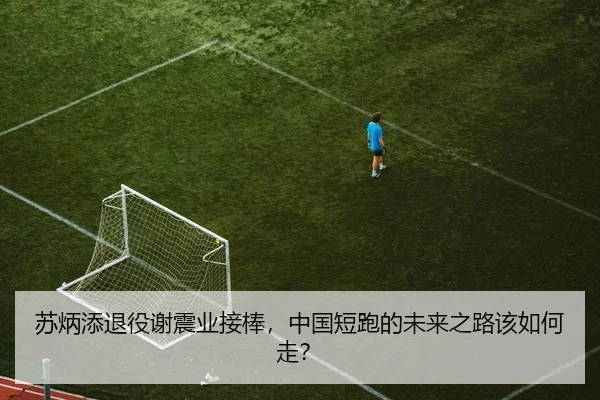 苏炳添退役谢震业接棒，中国短跑的未来之路该如何走？ | yaxin