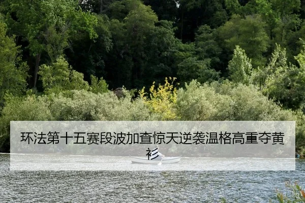 环法第十五赛段波加查惊天逆袭温格高重夺黄衫